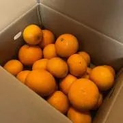 みみかんの画像