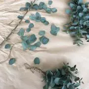 y0507の画像