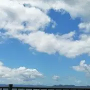 ファービーママ✩