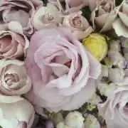 ★桜★の画像