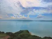 にこの画像
