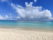makariの画像