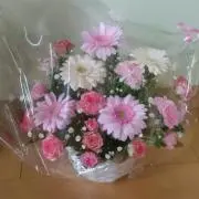 ソックの画像