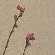 塩梅/副作用のため連絡できない事ありますの画像