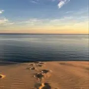 Rの画像