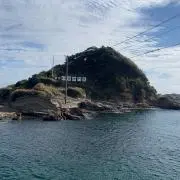 ポメの画像