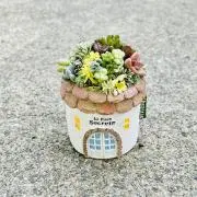 aiharuの画像