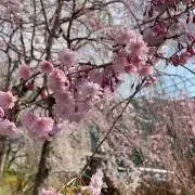 千の画像