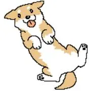 かおりぬ☆即購入OK