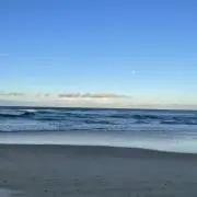 ぽてとの画像