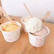 IceCreamHolic