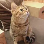みずきの画像