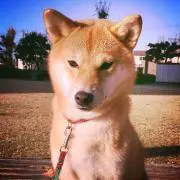 Mitonの画像