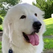 めるの画像