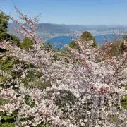 まろっこの画像