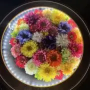 にょにょんんの画像