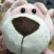 ぽめっくの画像