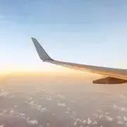 ☆piyotaroの画像
