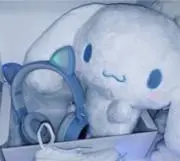 にゃこの画像