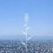nokoの画像
