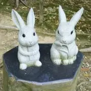 うさぎの画像