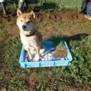 かずきの画像