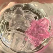 みゅの画像