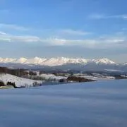 Takumaの画像