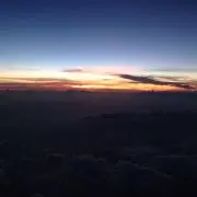 アナベル