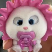 たんぽぽの画像