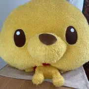 ハジメましての画像