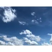 ひまわり8/10〜8/13発送休みの画像