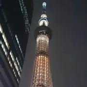 ウメコ