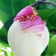 じゅげむ＊