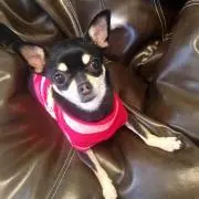 ruruの画像