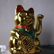 タイガの画像