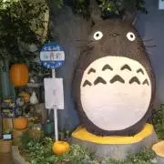 ぽこ