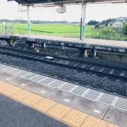 パピコの画像