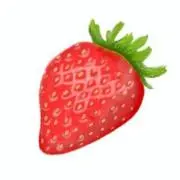 いちごの画像