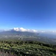 にっくの画像