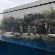 ＊ミウィ＊