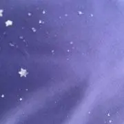 D-mamの画像