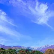 tombell65の画像