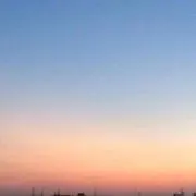 ととるの画像