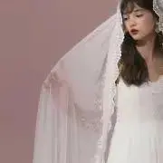 シロクマの画像