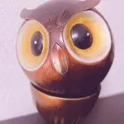 ふくまろの画像
