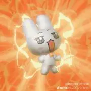 ふわの画像