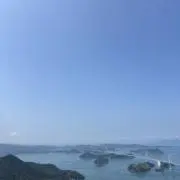 かつおの画像