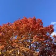 なぁ(プロフ確認お願いします)の画像