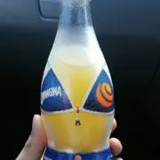 樹
